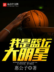 惠公子小说《我是篮坛大明星》